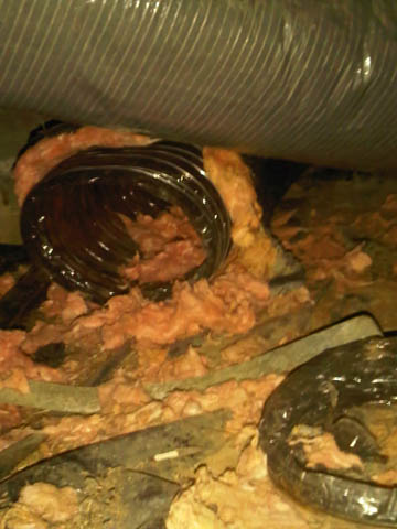 torn_ducting_skunk_damage