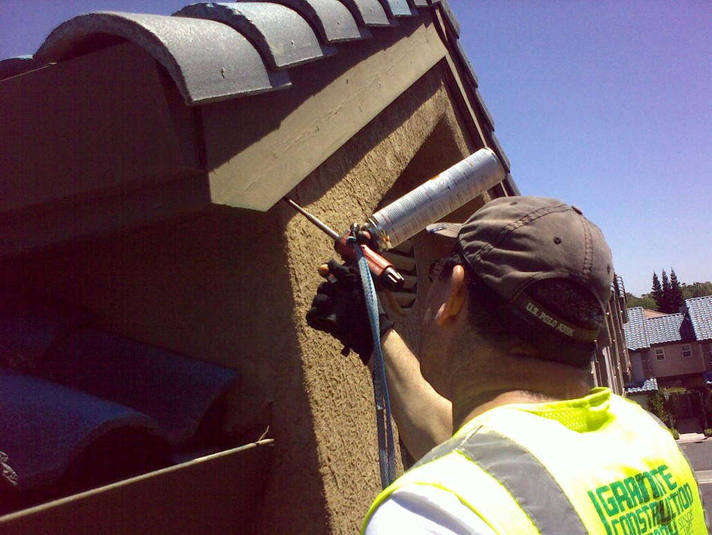 Know How to Bat Proof Your Home