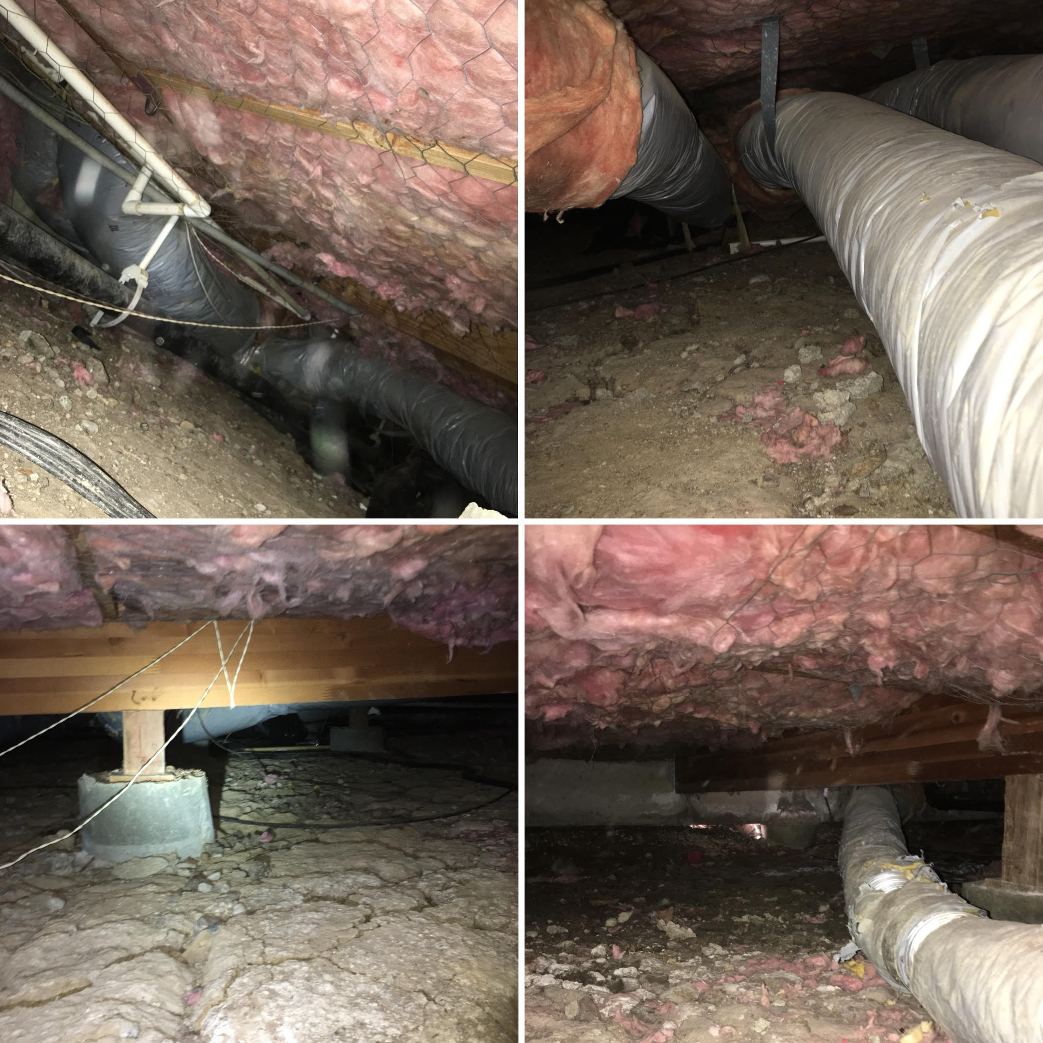crawlspace wildlife cleanup insulation