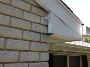 bat exclusion control