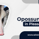 opossum control in Pleasant Hill